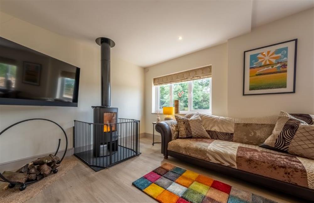Sitting room with large sofa and wood-burning stove (photo 2) at Wensum Retreat, South Raynham near Fakenham