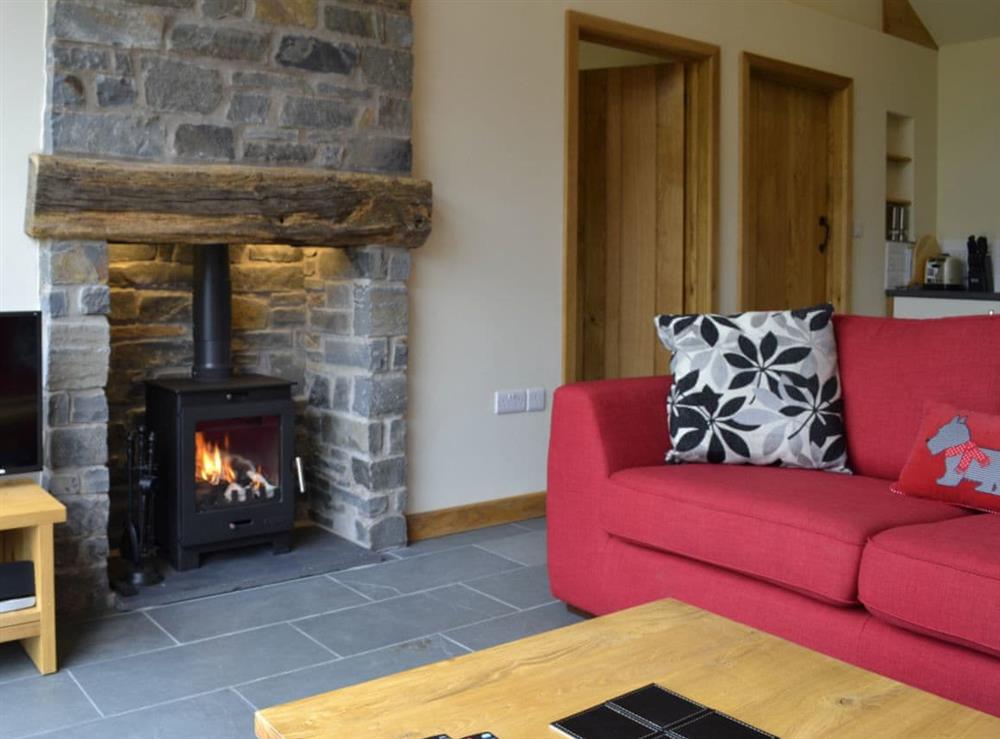 Comfortable lounge with wood burner and Freeview TV at Wern Ddu Cottage in Penybontfawr, near Oswestry, Powys
