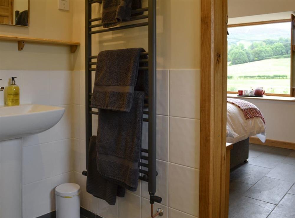 En-suite shower room with shower cubicle and toilet at Wern Ddu Cottage in Penybontfawr, near Oswestry, Powys