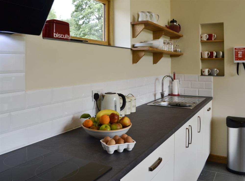 Well-equipped kitchen (photo 2) at Wern Ddu Cottage in Penybontfawr, near Oswestry, Powys
