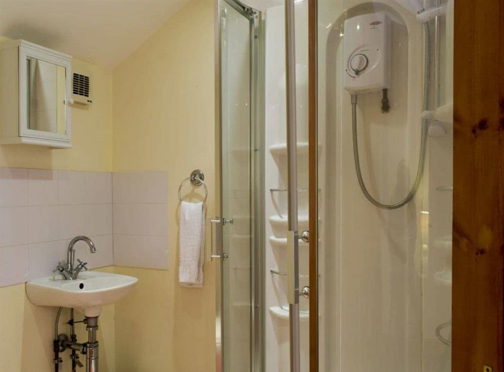En-suite shower room at West Boundary Farm Cottage 1, 