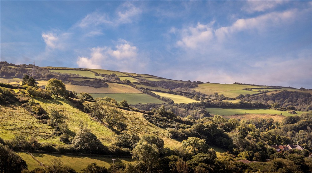 The rolling fields and woods in the countryside surrounding West Challacombe Manor and Cottage, Devon at West Challacombe Manor in West Exmoor, Devon
