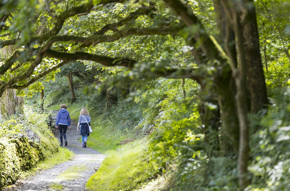 Visitors walking in the Heddon Valley at West Challacombe Manor in West Exmoor, Devon