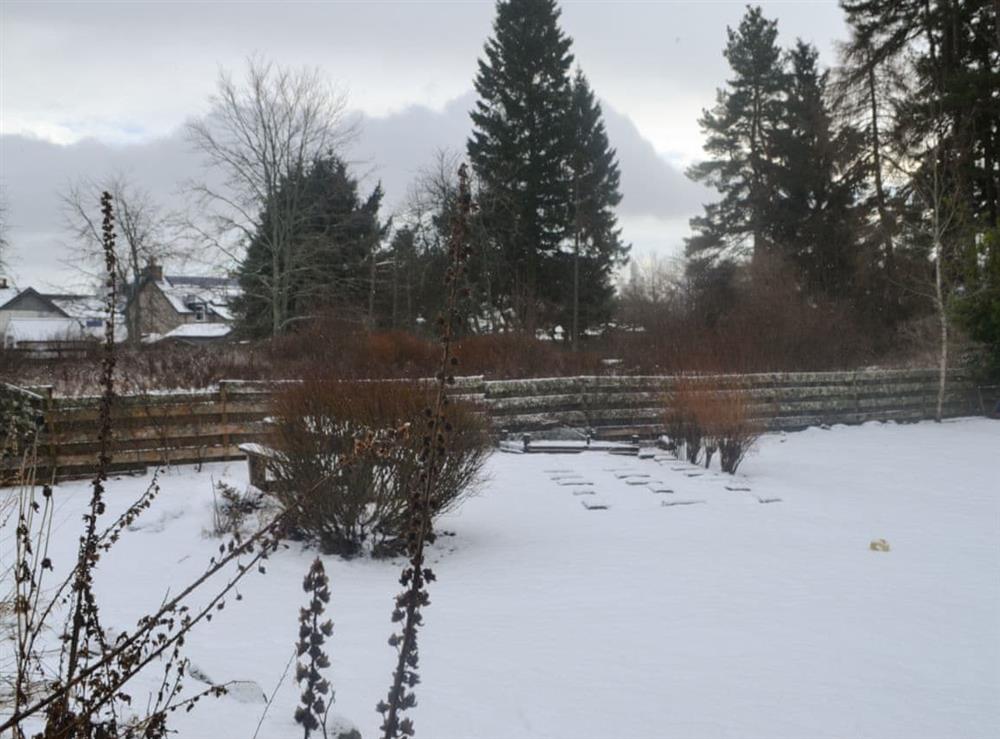 Garden in the winter (photo 2) at West End Cottage in Carrbridge, near Aviemore, Highlands, Inverness-Shire