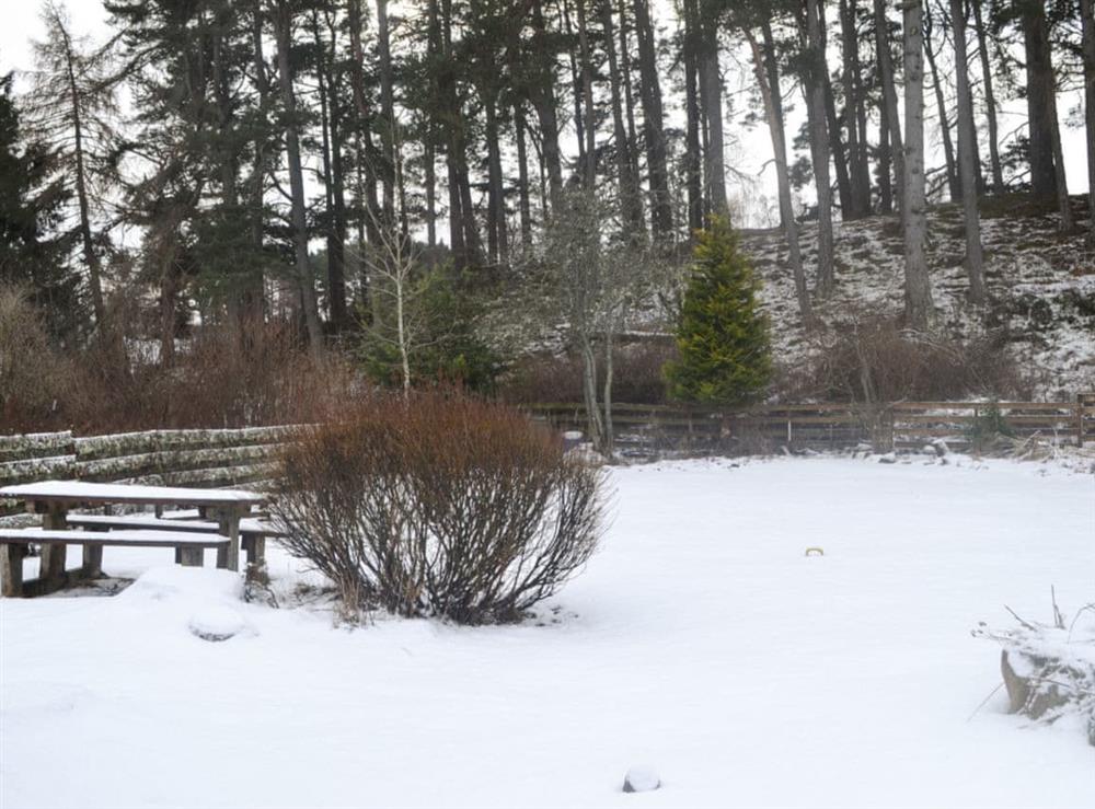 Garden in the winter at West End Cottage in Carrbridge, near Aviemore, Highlands, Inverness-Shire