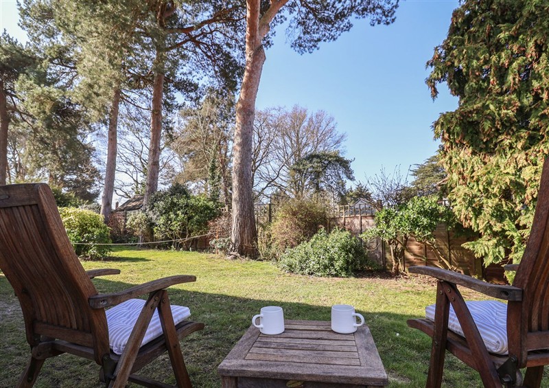 Enjoy the garden at West End, Martlesham Village