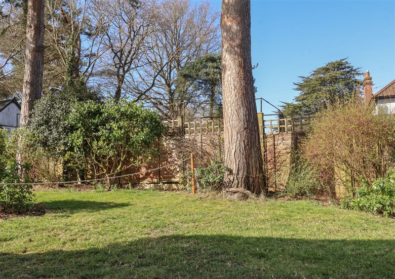The garden at West End, Martlesham Village