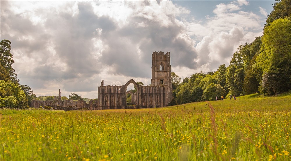 Looking across East Green towards the abbey through the long grass, wildflowers and buttercups at West Gate Lodge in Ripon, North Yorkshire