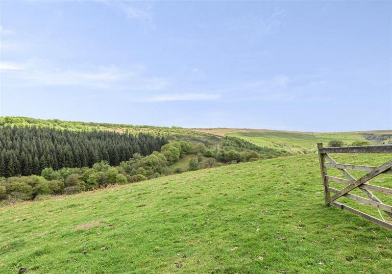 The setting of West Hollowcombe Farm Cottages - full site