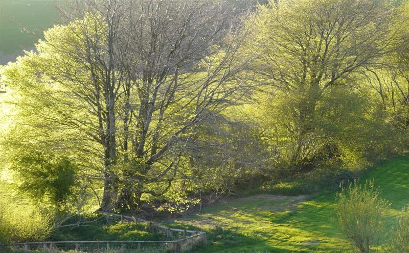 Rural landscape