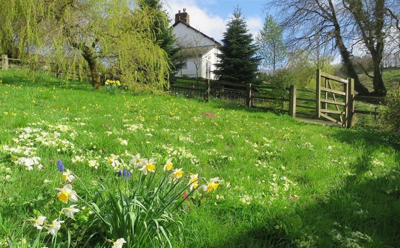 Rural landscape