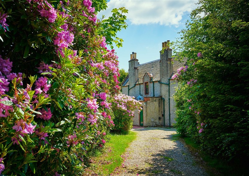 The garden at West Lodge, Lintrathen near Kirriemuir
