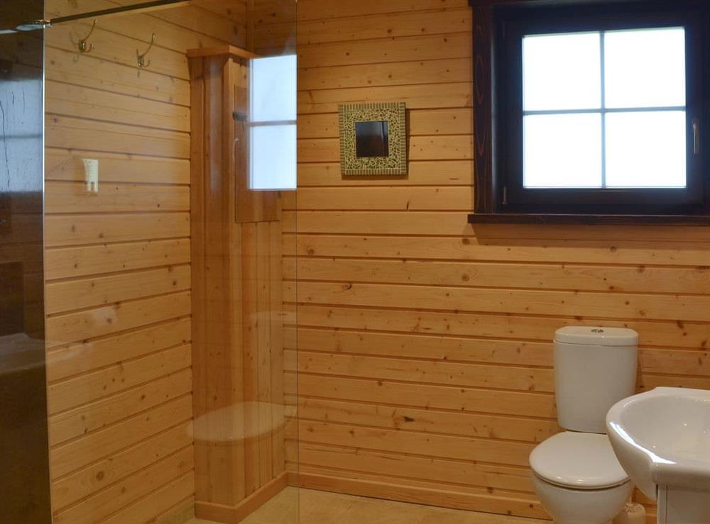 Shower room at Exmoor, 