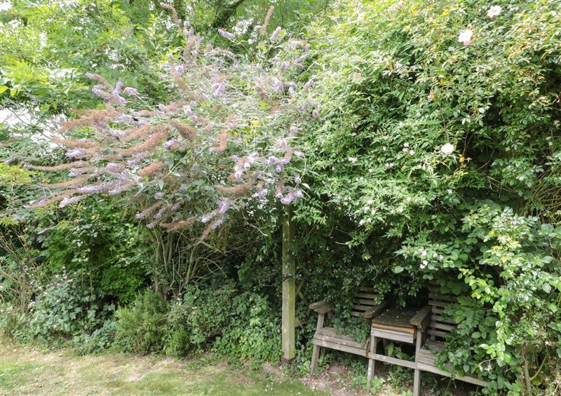 Enjoy the garden (photo 2) at West Moor Cottage Annex, Burrow Hill