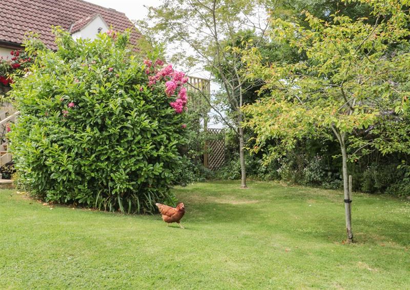 Enjoy the garden at West Moor Cottage Annex, Burrow Hill