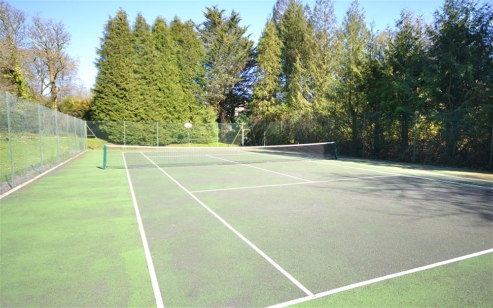 Tennis court at Colmer at West Vane in Modbury