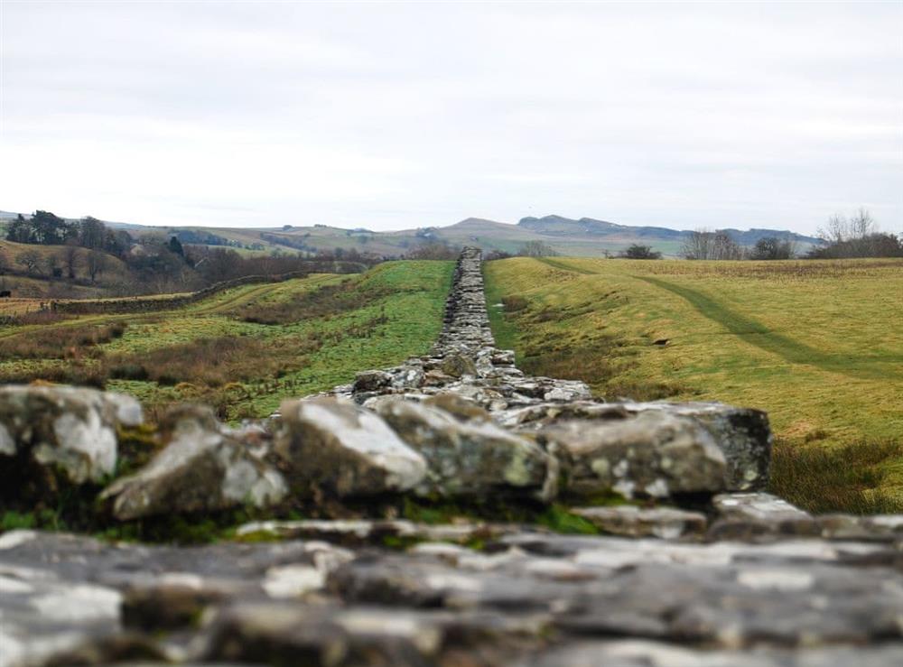 Hadrians Wall at West View in Castle Carrock, near Brampton, Cumbria