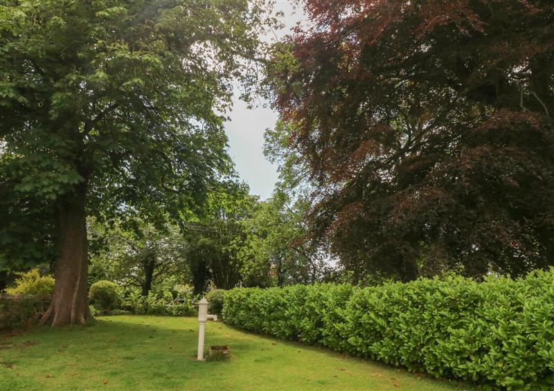 This is the garden at West View Cottage, Priest Hutton near Carnforth