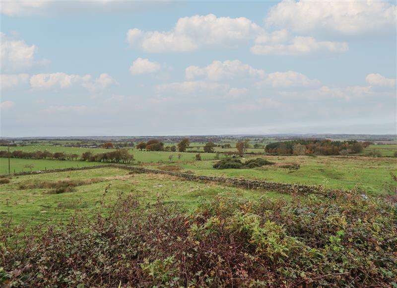 Rural landscape