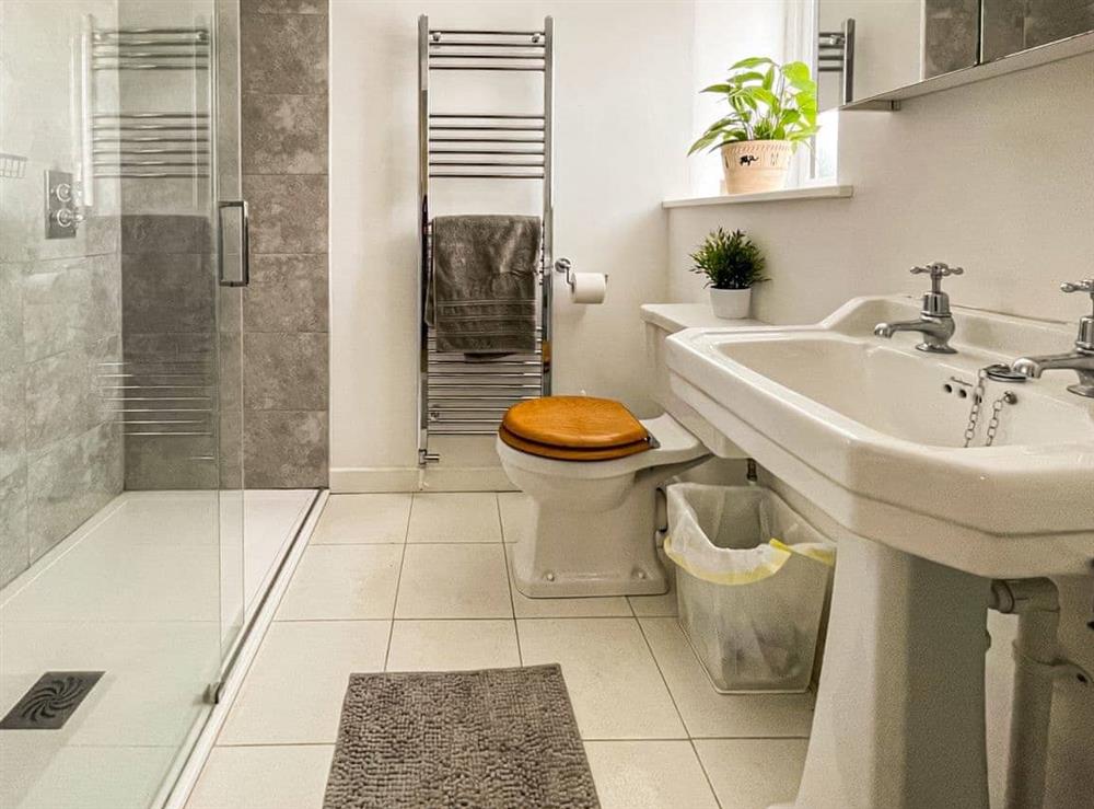 Shower room at Tembridge House, 