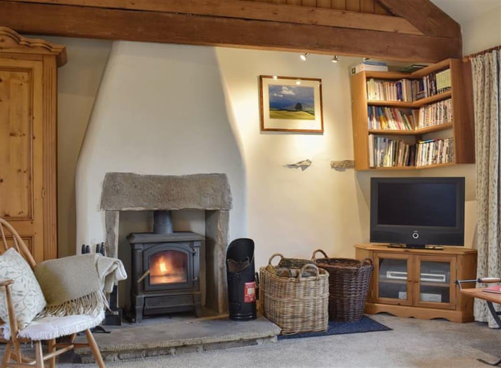 Charming living room with wood burner at Westburn Cottage in Newbiggin-in-Bishopdale, near Leyburn, North Yorkshire