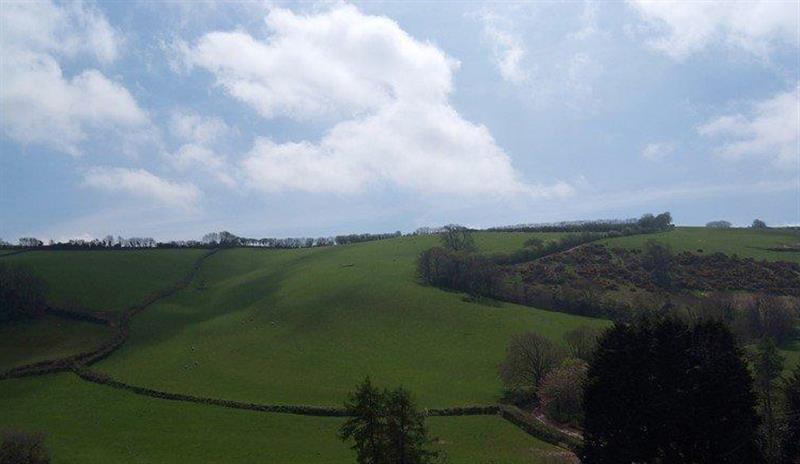 Rural landscape