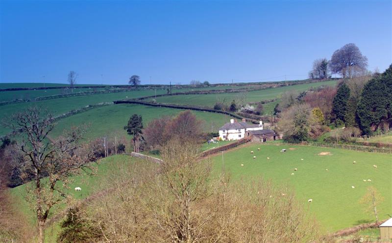 The area around Westcott Cross Cottage