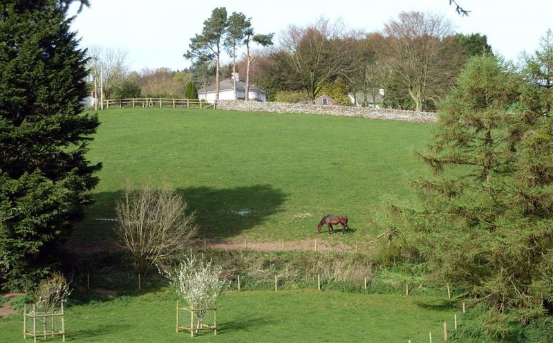 The area around Westcott Cross Cottage