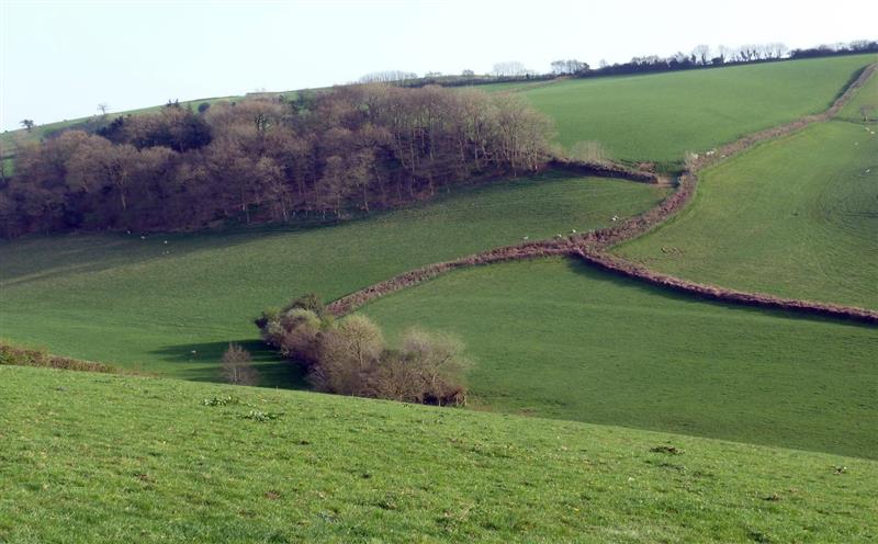 The setting around Westcott Cross Cottage