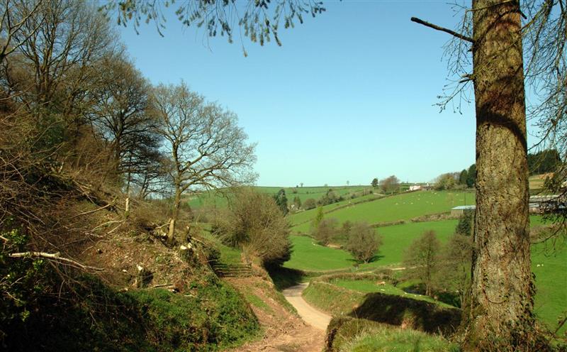 The setting of Westcott Cross Cottage