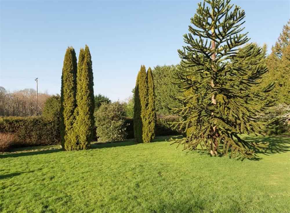 Garden & grounds at Westcott House in Rockbeare, near Exeter, Devon