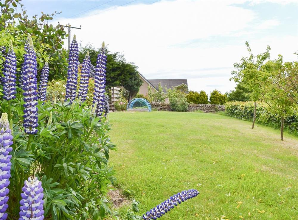 Garden at Westend in Duffus, Inverness, Morayshire