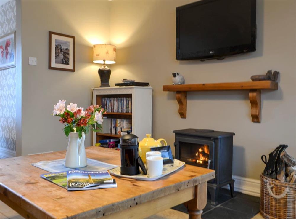 Cosy living area with wood burner at Westfield Farm Cottage in East Holywell, near Whitley Bay, Northumberland