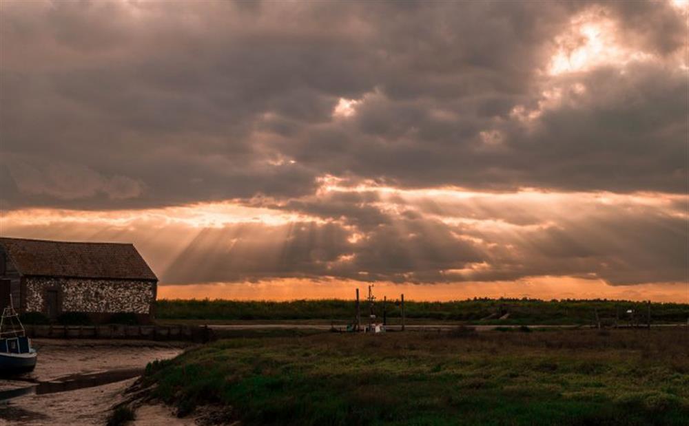 Thornham marshes