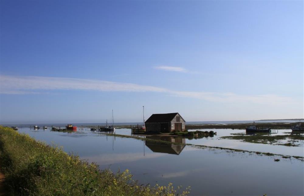 Thornham marshes