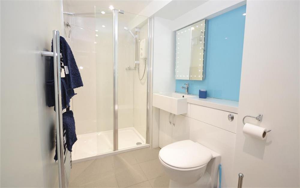 The modern spacious shower room  at Westhaven in Polperro