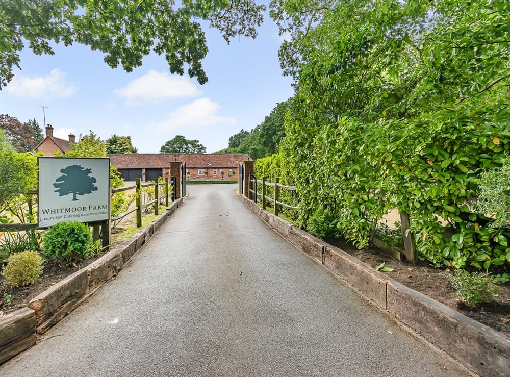 Driveway