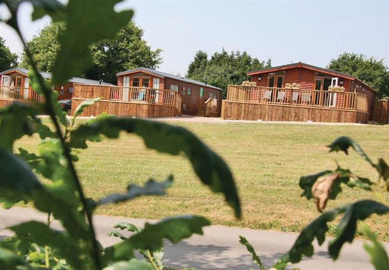 The park setting at Weston Wood Lodges in Weston-on-Trent, Near Derby