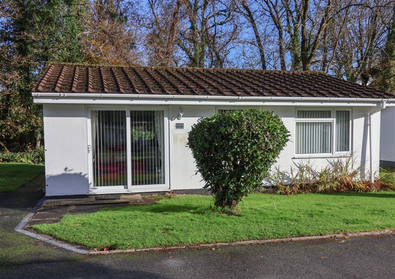 This is the garden at Westview, Liskeard