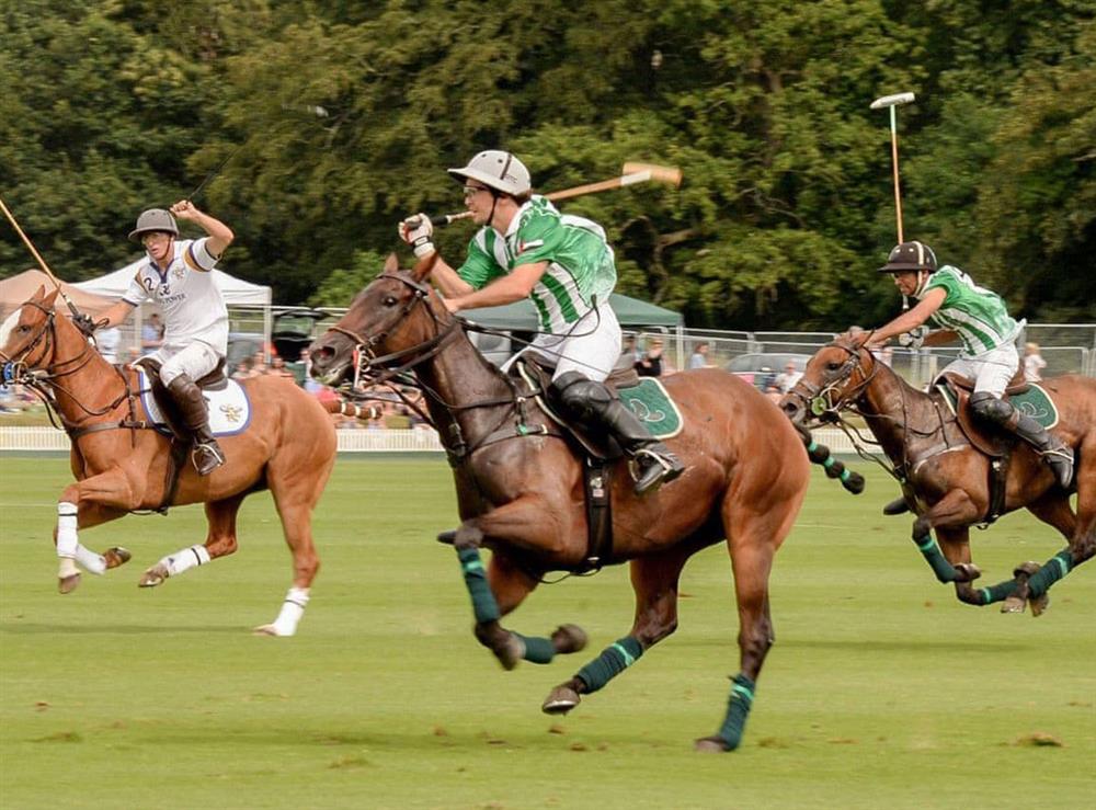 Cowdray Polo at Westwood in Petworth, West Sussex