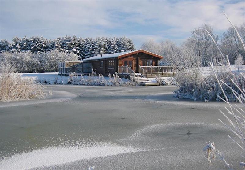 A photo of Kingfisher Lodge at Weybread Lakes Lodges