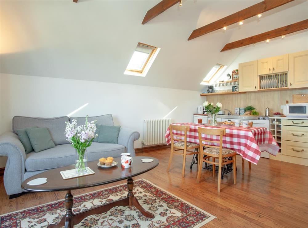 Open plan living space at Wheal Trenwith Cottage in St Ives, Cornwall