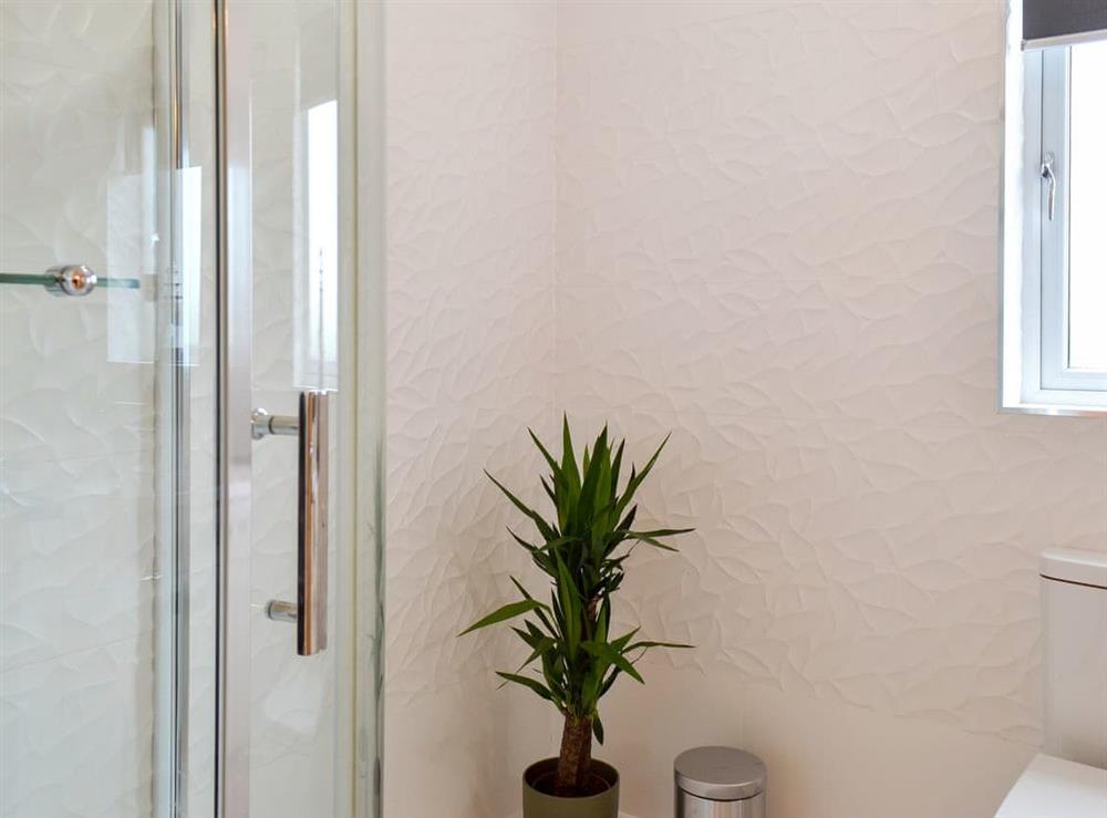 Shower room (photo 3) at Wheatfield House in Kilmaurs, near Kilmarnock, Ayrshire