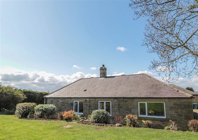 The garden at Whinney Moor, Alnwick