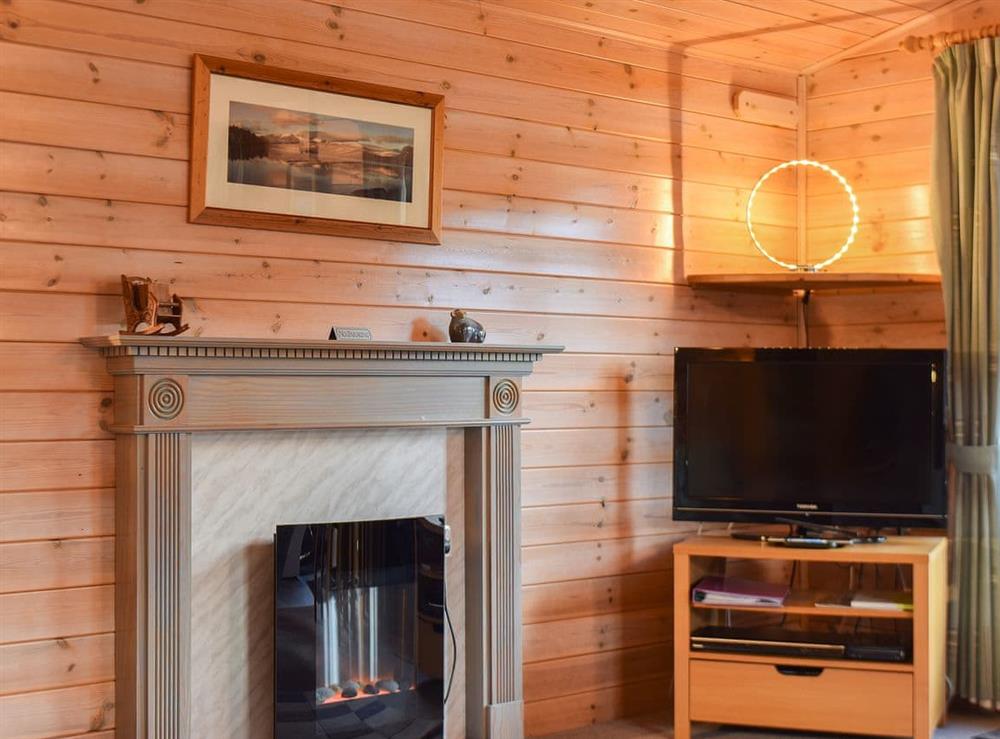 Cosy living space with contemporary fireplace at Burnside Park, 