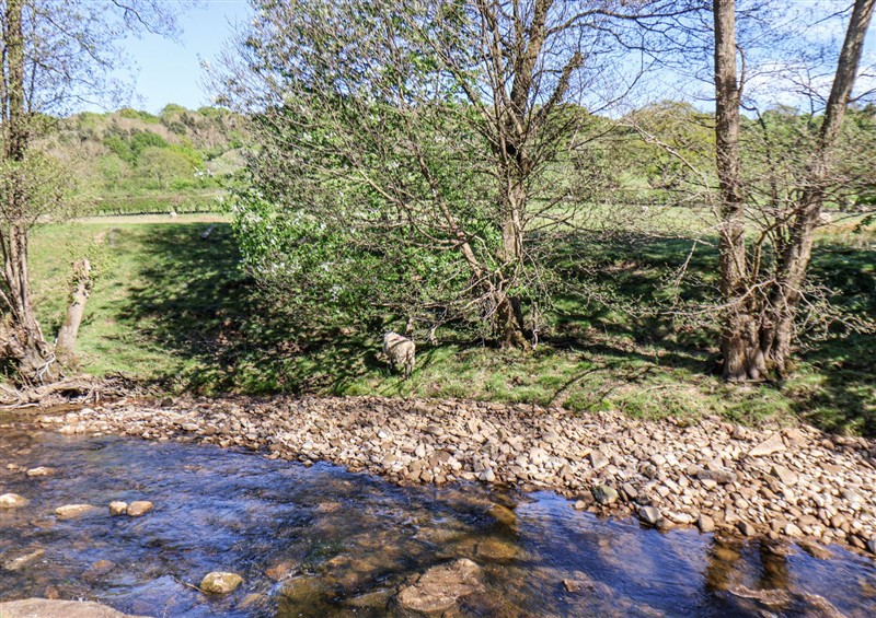 The setting of Whinstone Cottage at Whinstone Cottage, Esk Valley near Grosmont