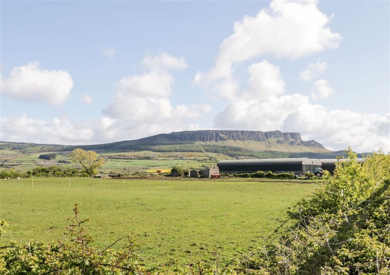 This is the garden at Whiskey Creek Cabin, Castlerock