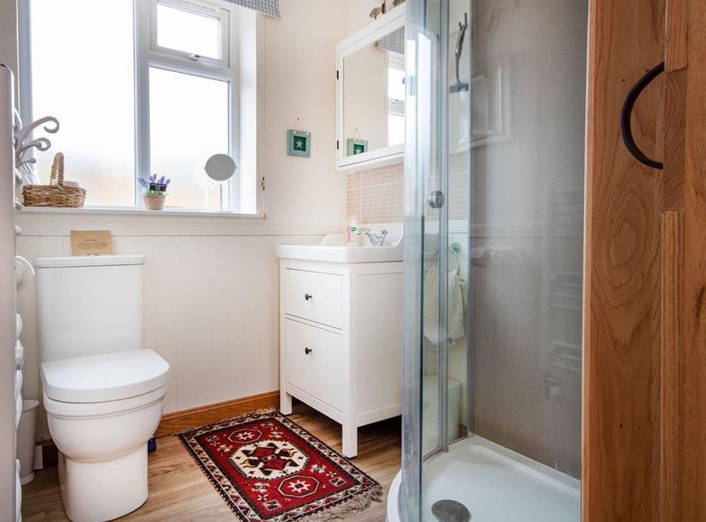 Shower room at White Cottage in Golspie, Sutherland