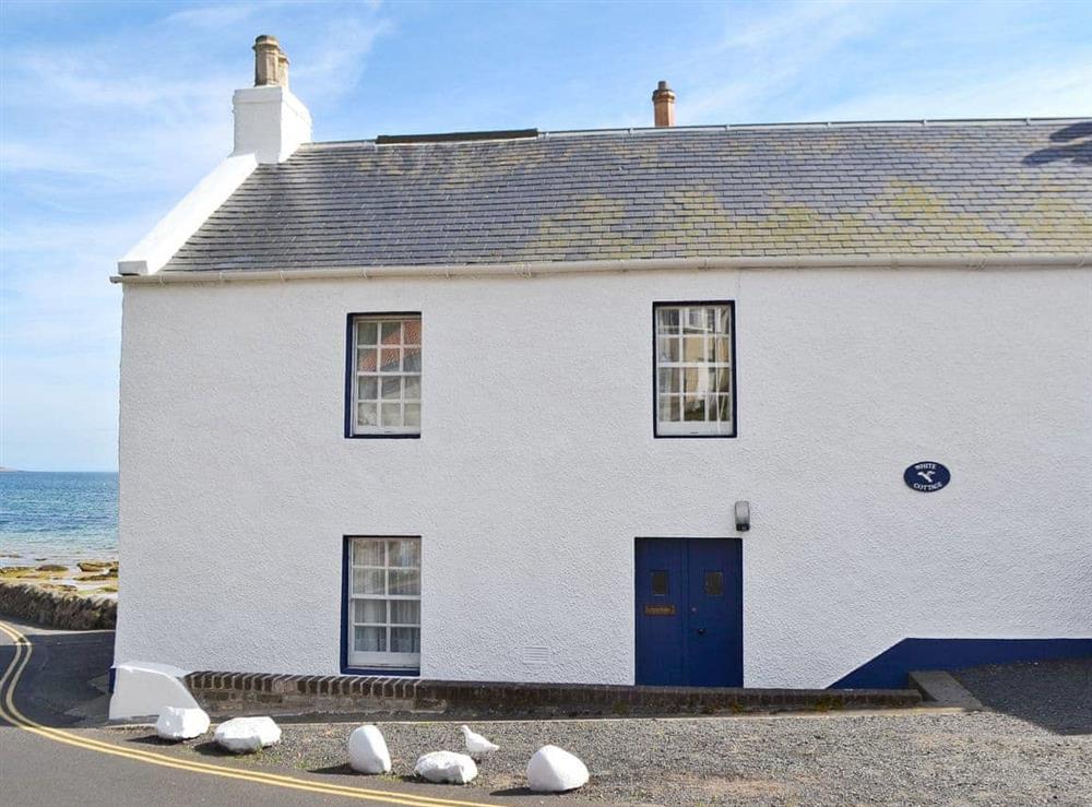 Charming holiday home in a fantastic seaside location at White Cottage in Lower Largo, near Leven, Fife