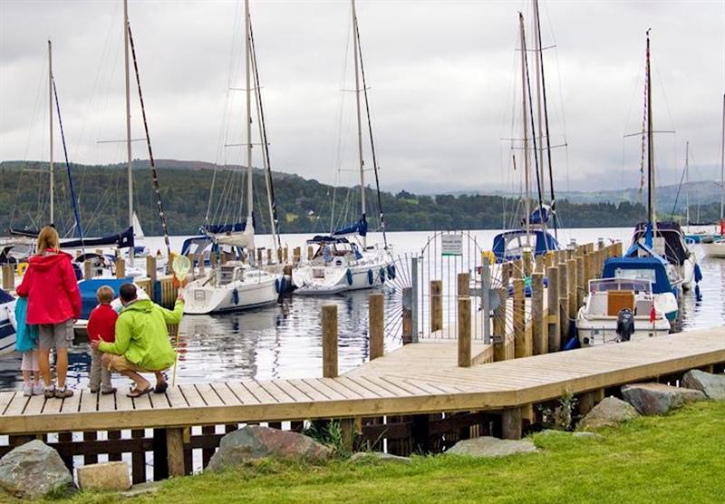 Marina (photo number 13) at White Cross Bay in Lake Windermere, Cumbria & The Lakes